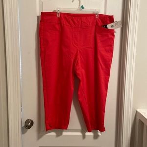 NWT zac and rachel capri length slacks. They are a pink/coral color. 20W